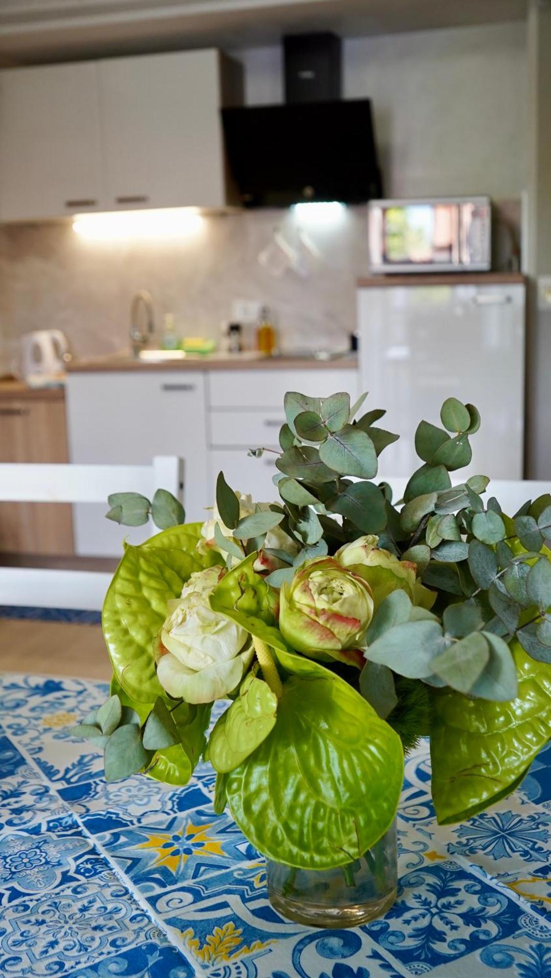 Apartments Ivo Rovinj Croatia Екстер'єр фото